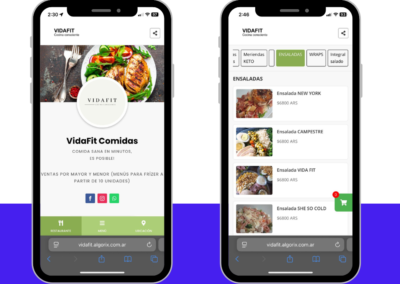 VidaFit – Catálogo Web para Ventas de Comida Saludable