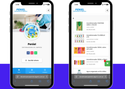 Peniel – Catálogo Online para Distribuidora de Limpieza